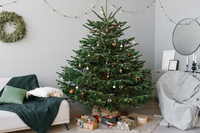 Tips voor een langdurig mooie kerstboom
