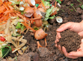 Compost